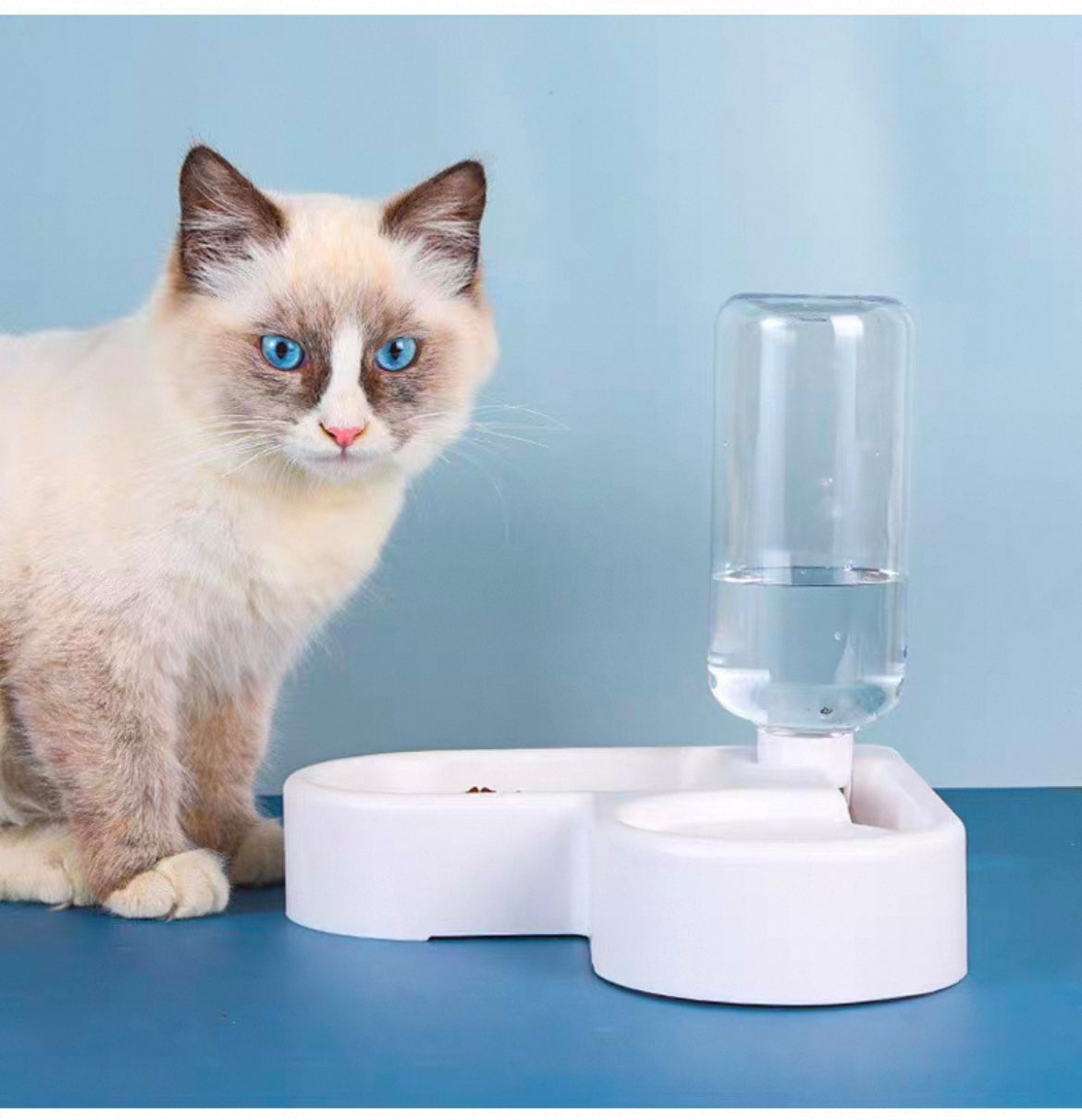 Pet Feeding Bowl with Automatic Water Dispenser  2-in-1